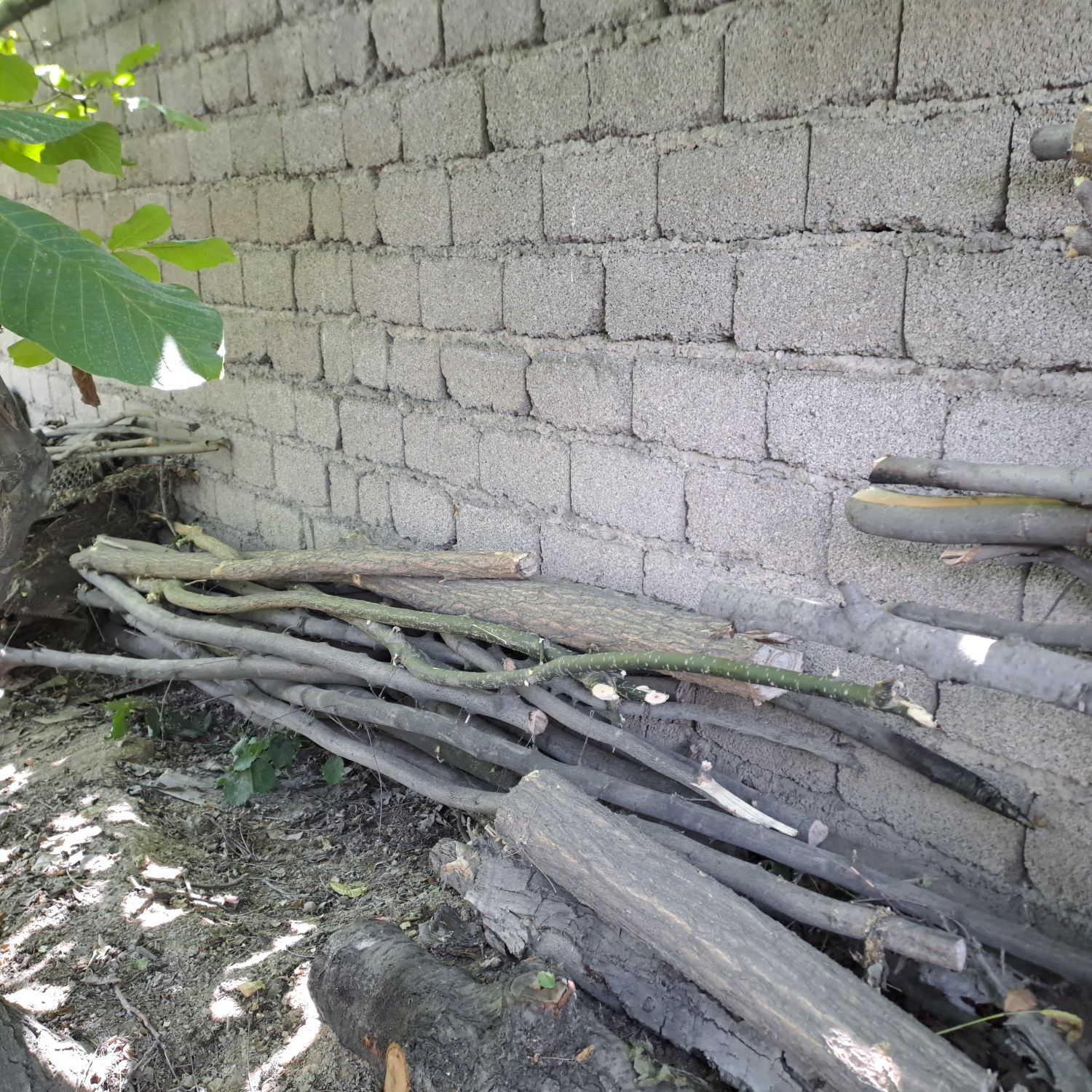 Дрова разные фруктовые