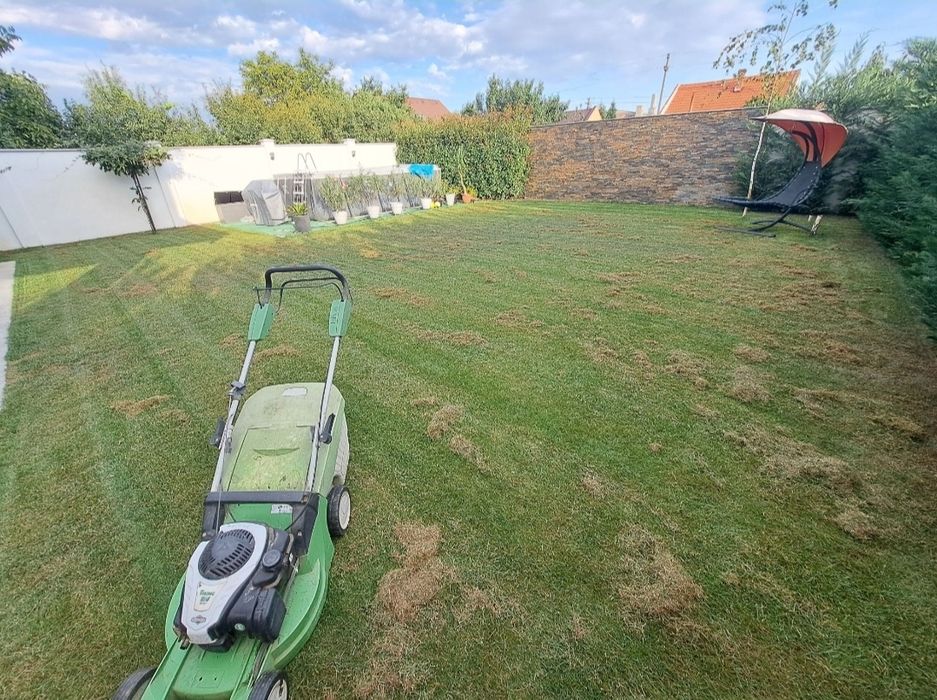 Întrețin spatii verzi, scarificat etc.