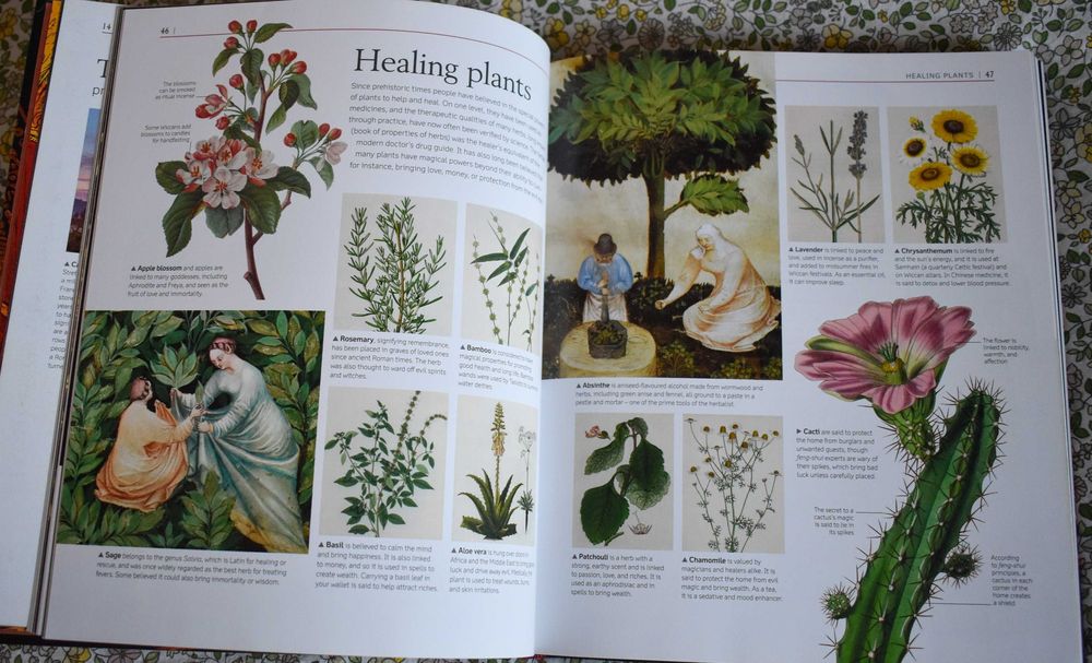 MAGIC and Witchcraft & Occult