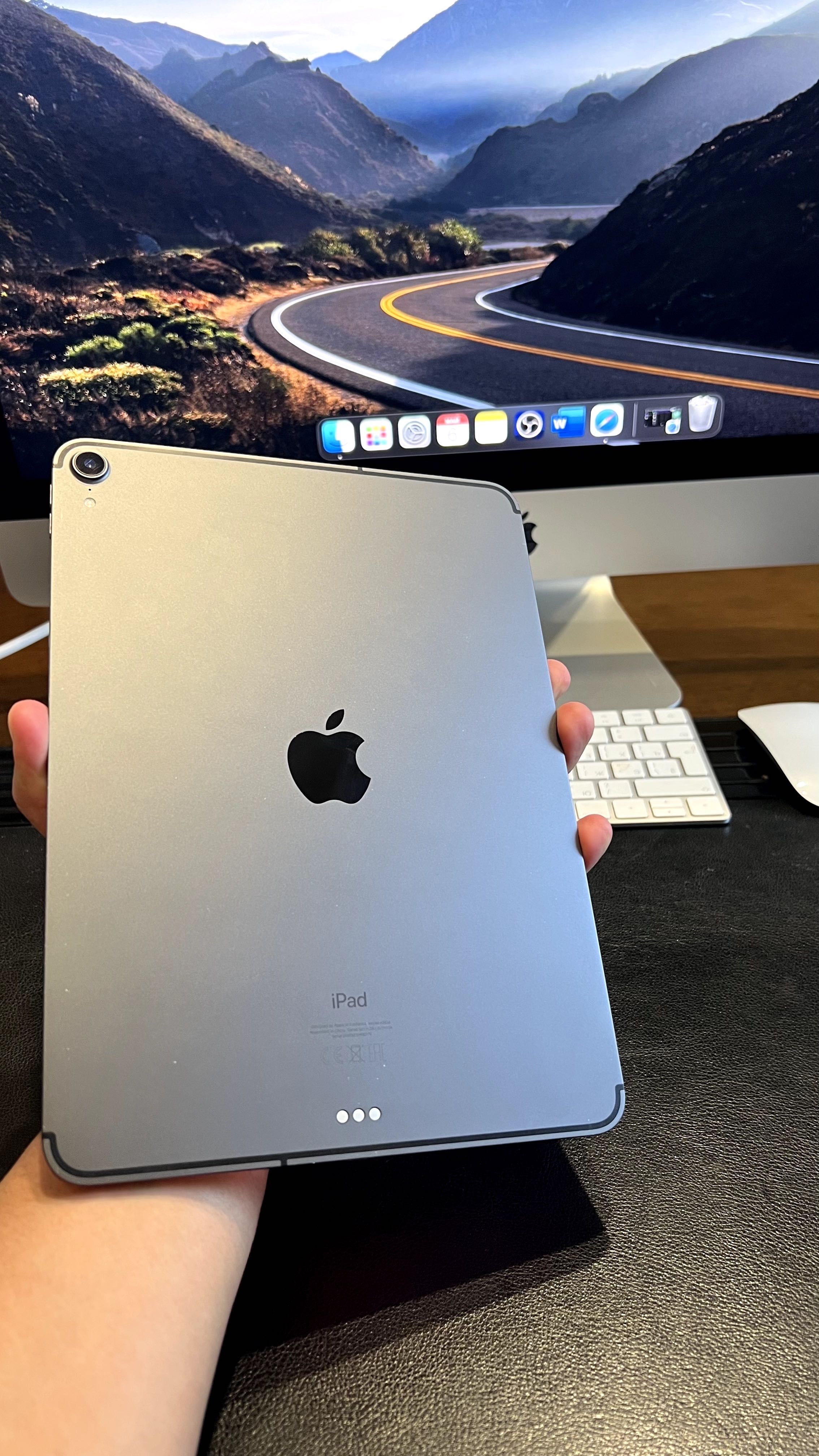 Apple Ipad Pro 11’ 64GB Wifi+Cellular sim