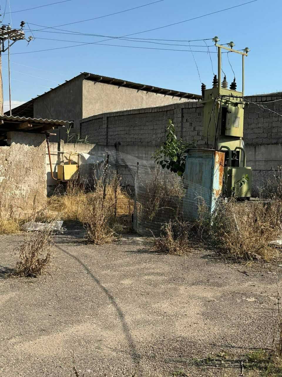 Продаётся птицеферма.