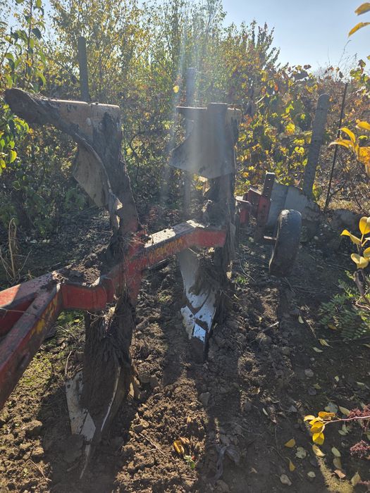 Plug naud 3 brazde reversibil.