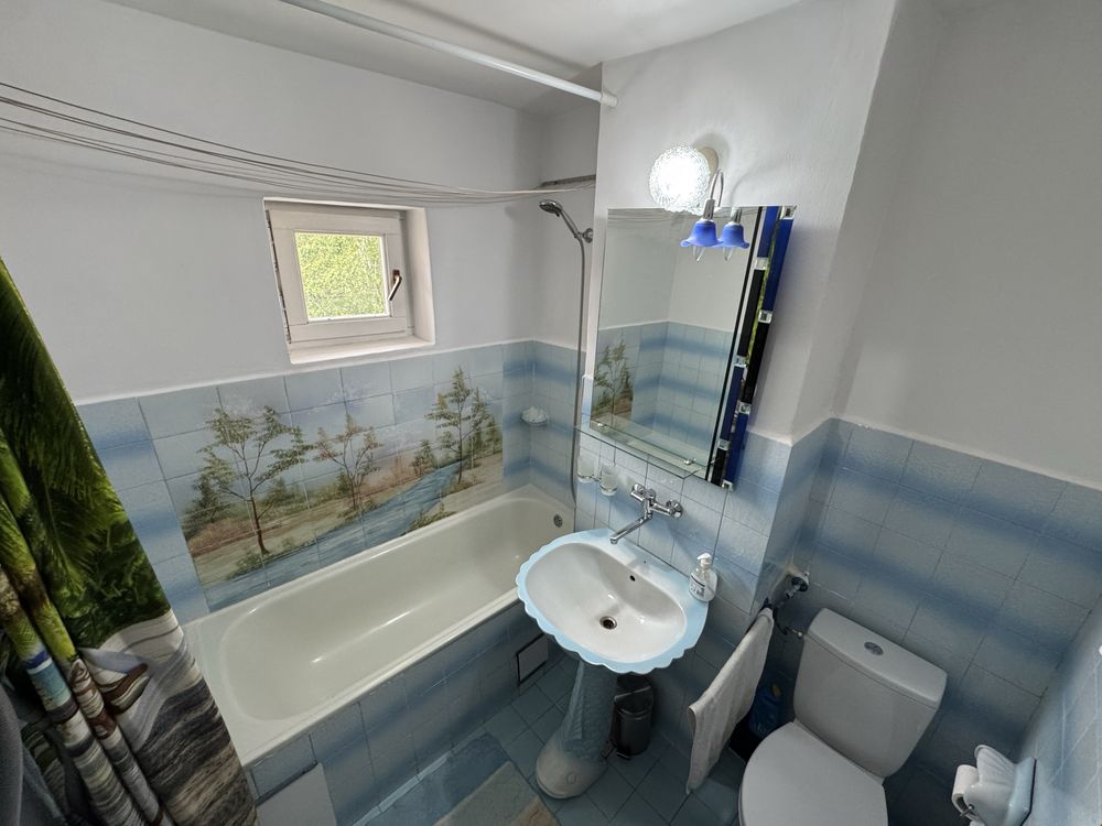 PF, Apartament de inchiriat Vasile Lupu