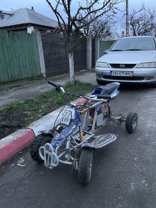 Vand mini atv cu motor motocoasa