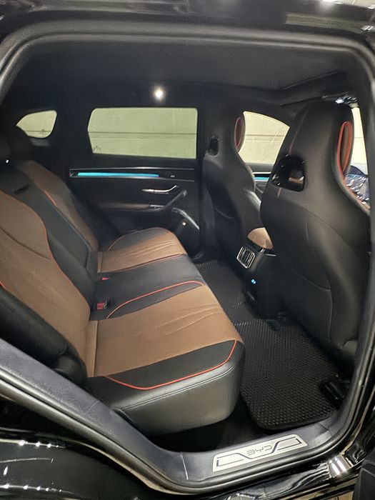 BYD Chempion Gibrid 150 Full 2024