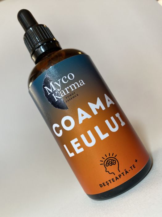 Concentrat din ciuperca Coama leului (Hericium erinaceus)