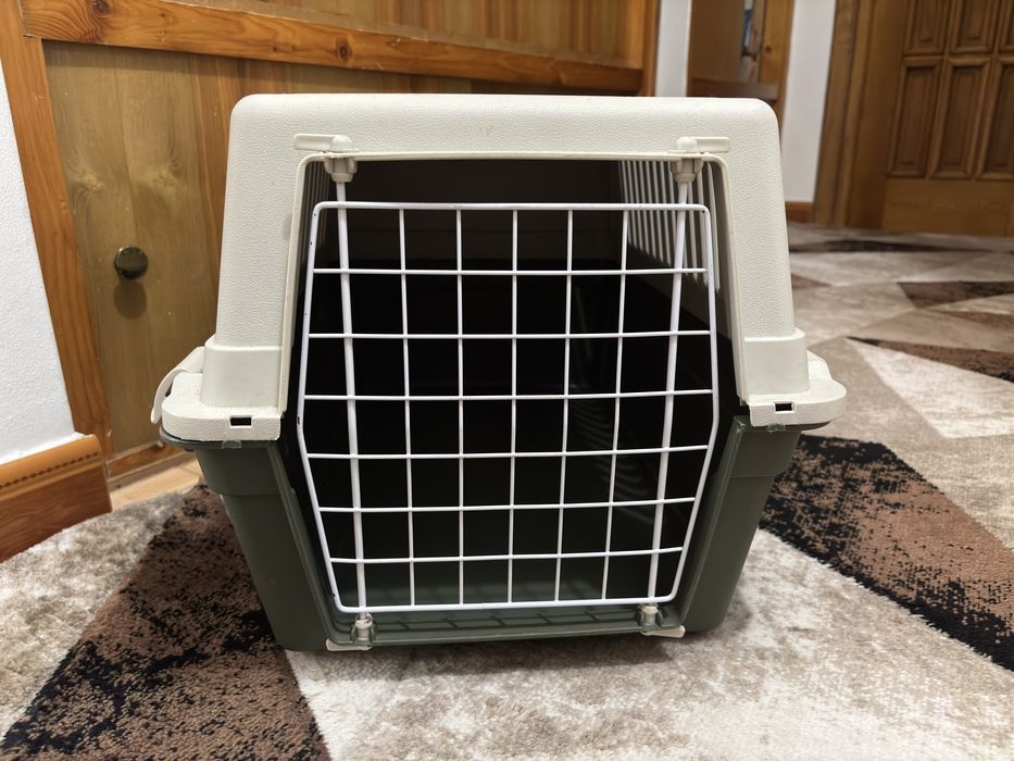 Cusca transport caine