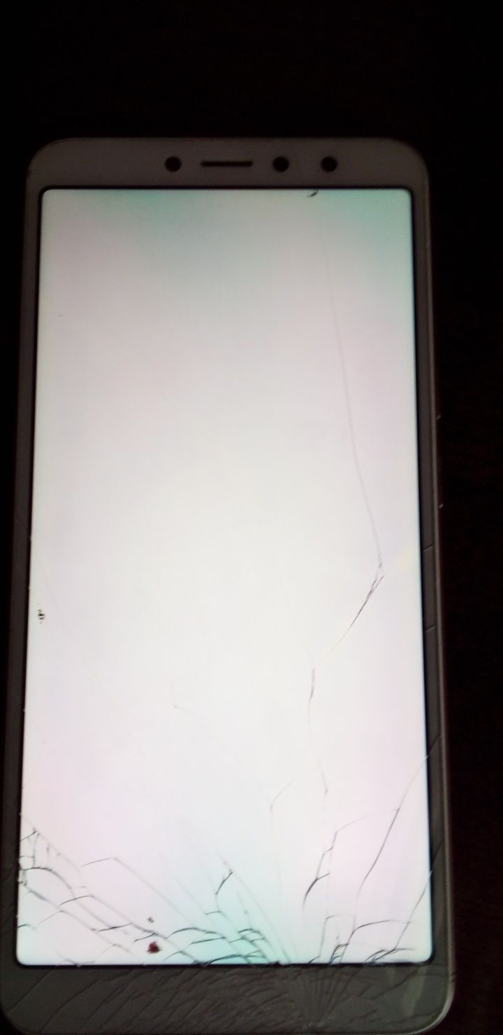 Xiaomi Redmi S2 global version