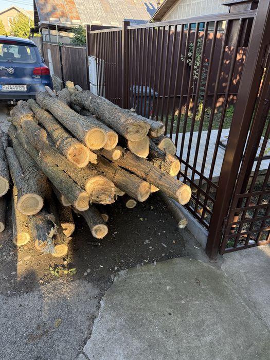 Vand lemne salcam de foc sau stalpi, bulumaci