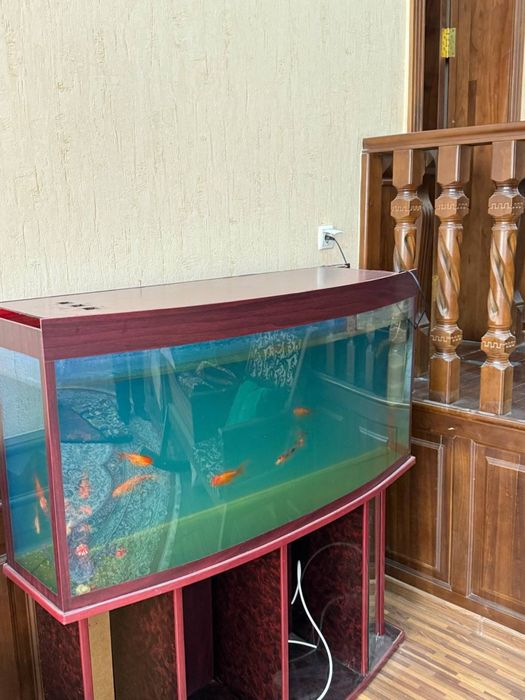 Акварин сатилади