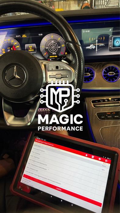 Soft putere stage 1 chiptuning adblue scr dpf egr