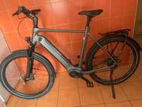 Biciclete electrice