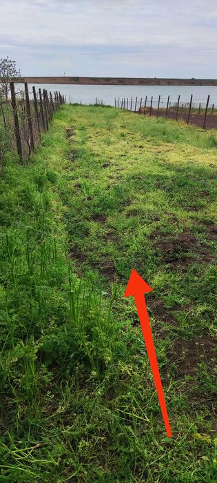 Casa 2600 mp cu deschidere lac Galațui