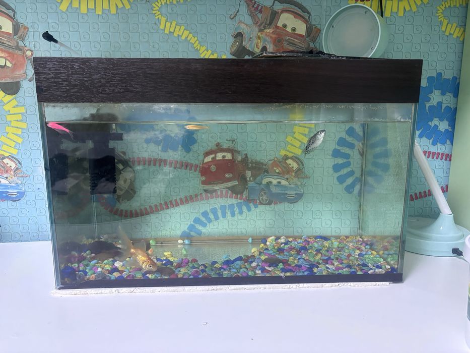 Продам аквариум с рыбками