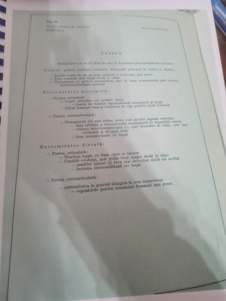 Carte xerox Atlas de anatomie comparativă vol 1
