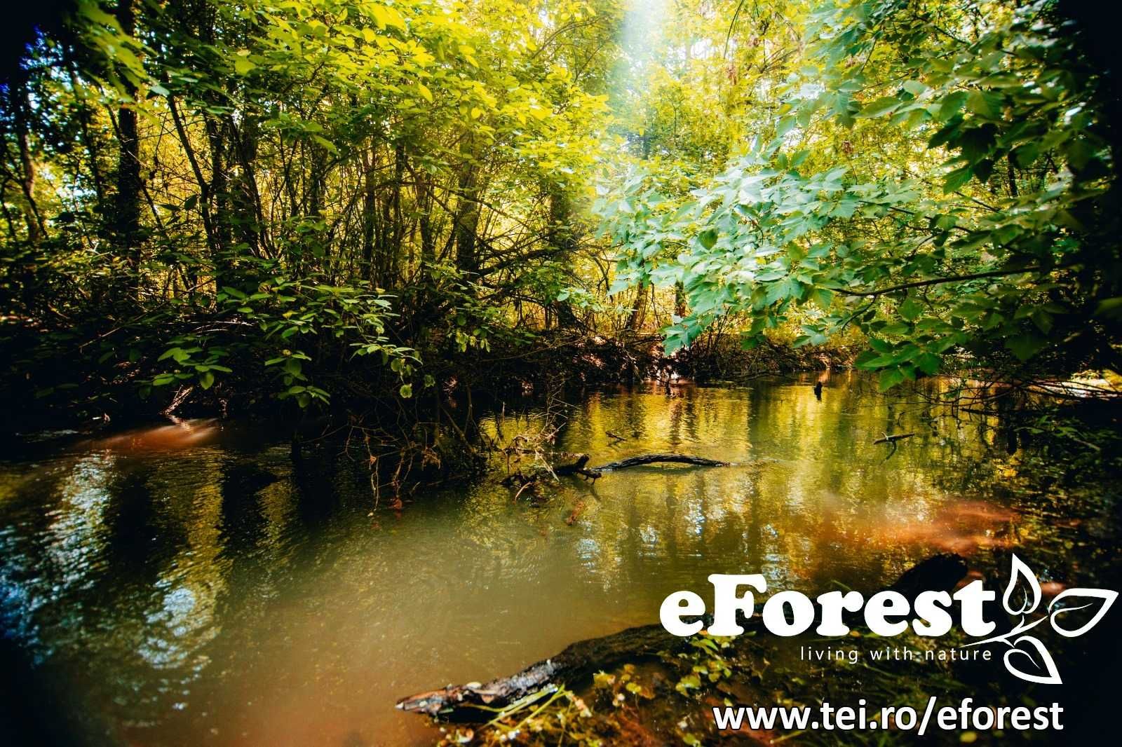 eForest , loturi de teren in Crevedia