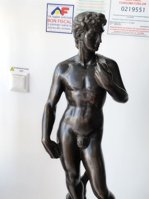 Bronz David secol XIX