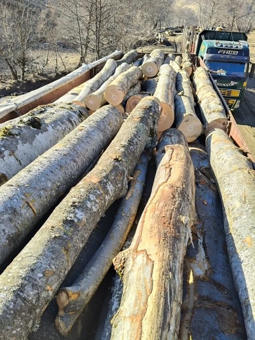 Lemn foc fag 440 mc cantitate corecta!!