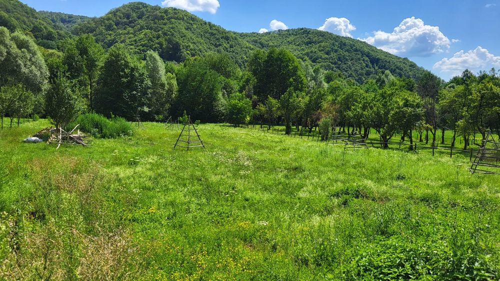 Terenuri de vanzare