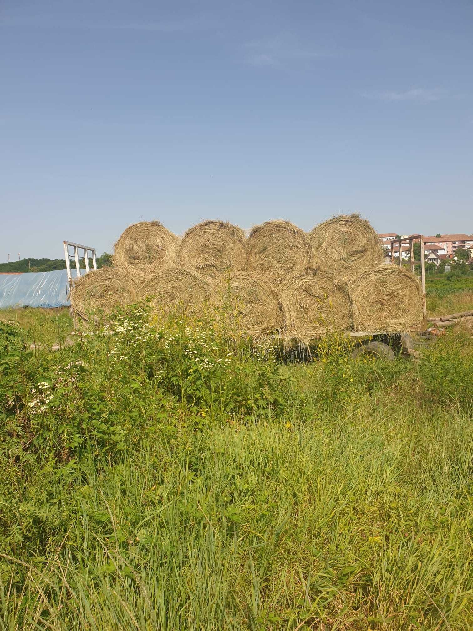 Baloții  lucernă  în amestec cu fân