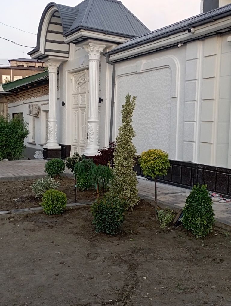 Travertin xizmati eng soʻngi fasonlar