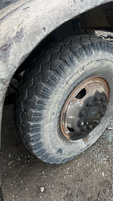 Баллоны 12.00, камеры 12, флиппер