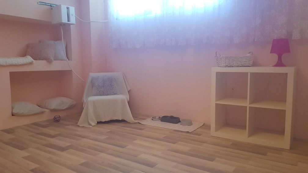 Хотел за котки в Пловдив