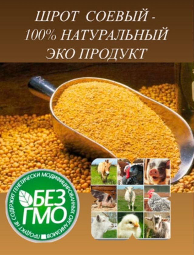 Соевый шрот. Шрот соя