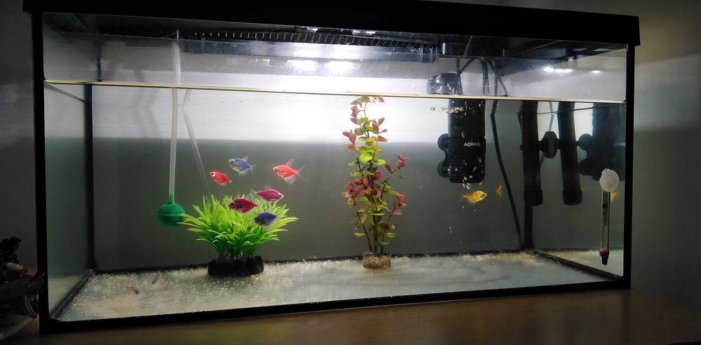 Acvariu Aquael complet echipat