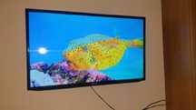 Tv led Samsung 100cm