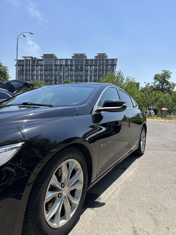 Malibu 2 primier