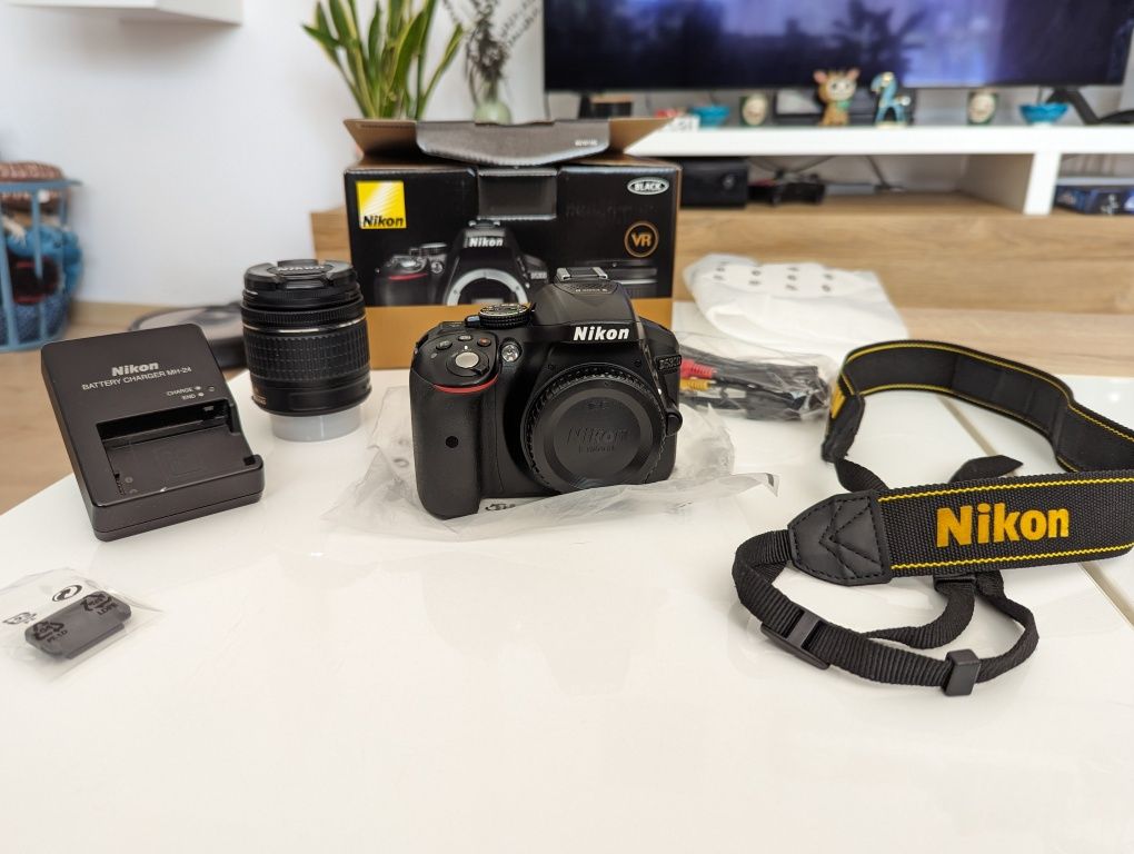 Nikon D5300 AF-P NIKKOR 18-55mm f/3.5-5.6G VR