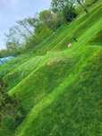 Servicii transport, pamant nisipos,pamant negru,pamant vegetal clujetc