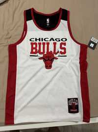 Maieu Chicago Bulls