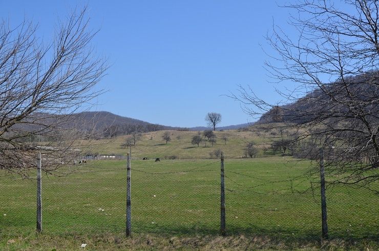 Teren Râmnicu Valcea - Daesti - 82000 mp - Panouri ferme fonduri