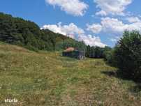 Teren intravilan și extravilan de vânzare, 25.380 mp Vânători, Ciucea