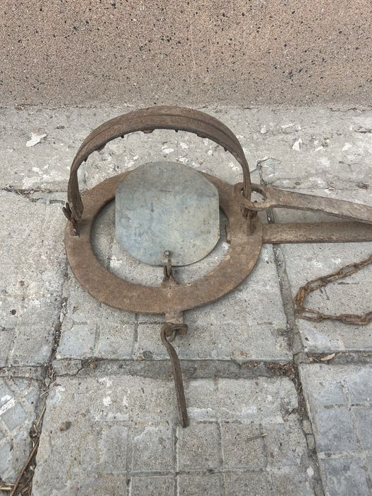 Голям капан за едър вреден дивеч