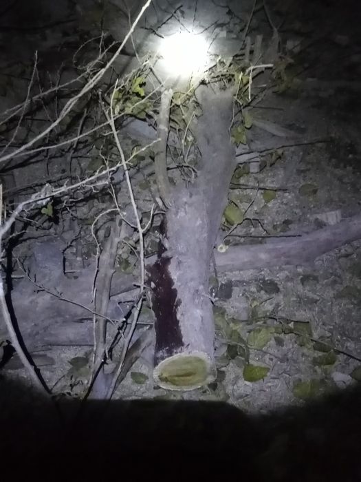 Утин сотилади коп