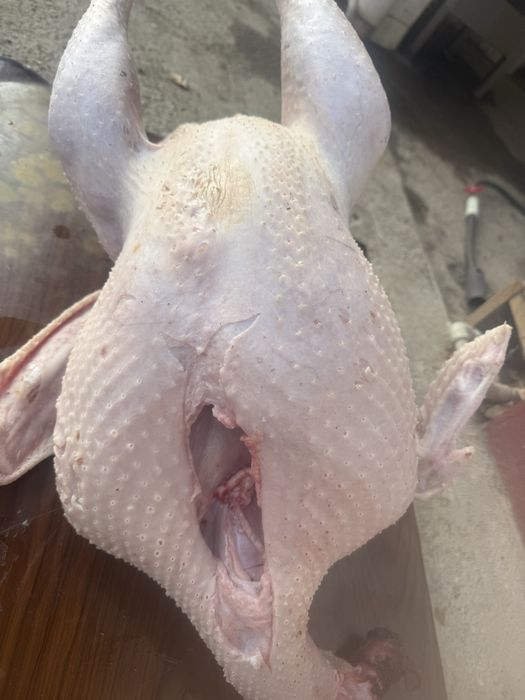 Үндік сатылады 2500теңге килосы сойбта береміз 3500т килосы семіз