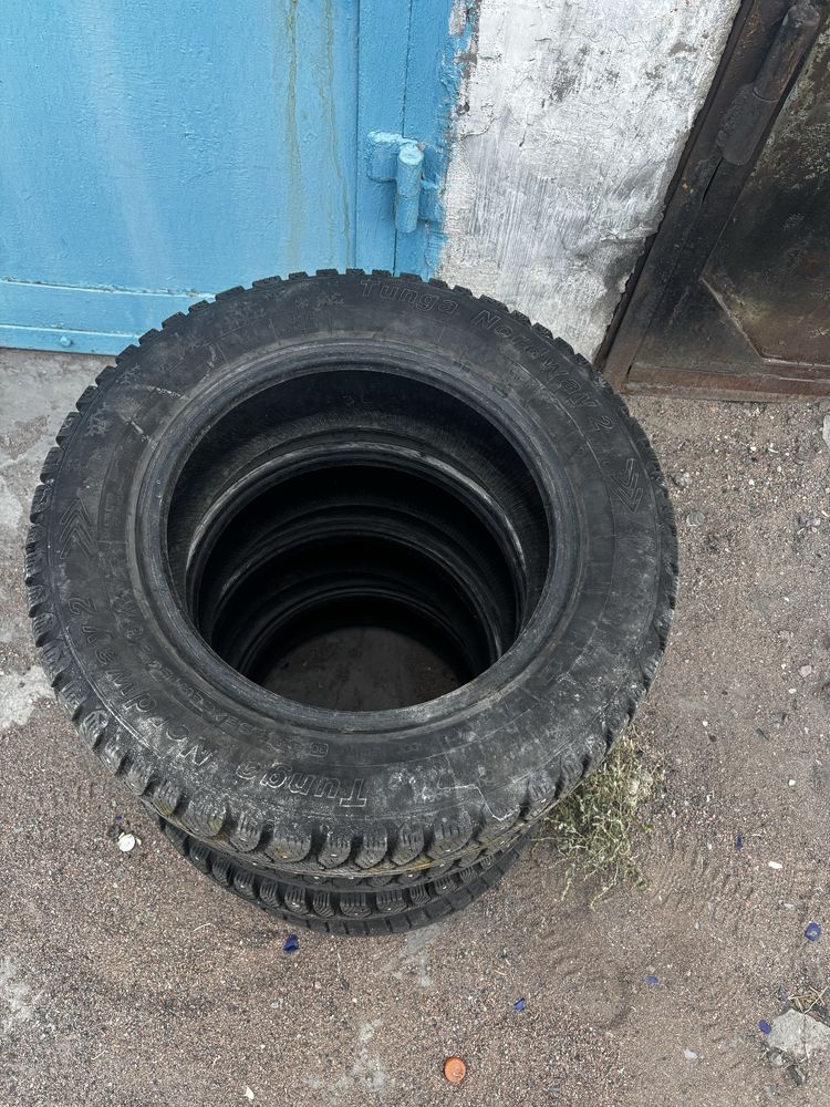 Шины зимние Tunga R15