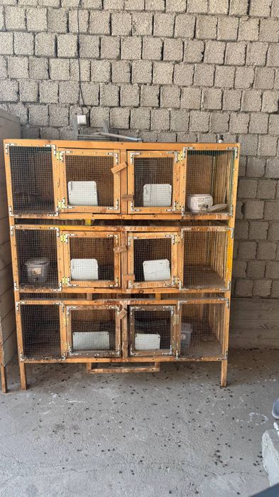 Куён ини    холати ало