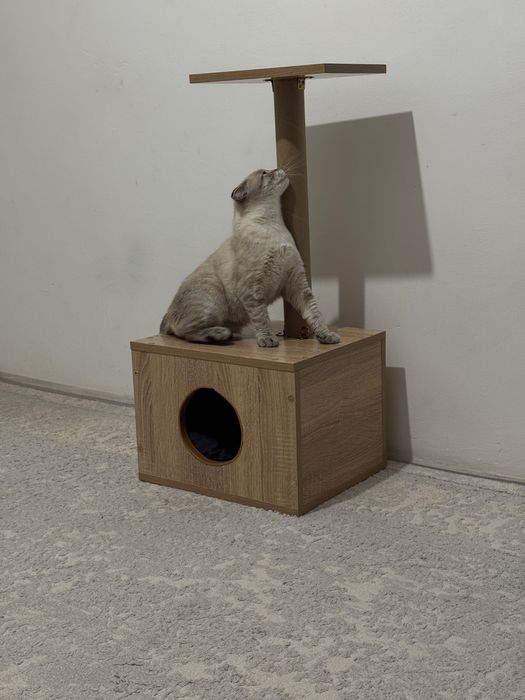 Домик для кошки кошки кошки