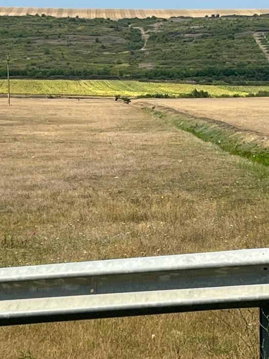 Vând 5 mii m.p. parcelabil,comuna Breasta,sat Valea Lungului,stradal,u