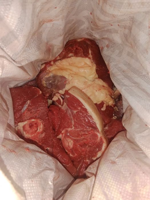 Семиз жабагы еттери сатылады шынашак казысымен