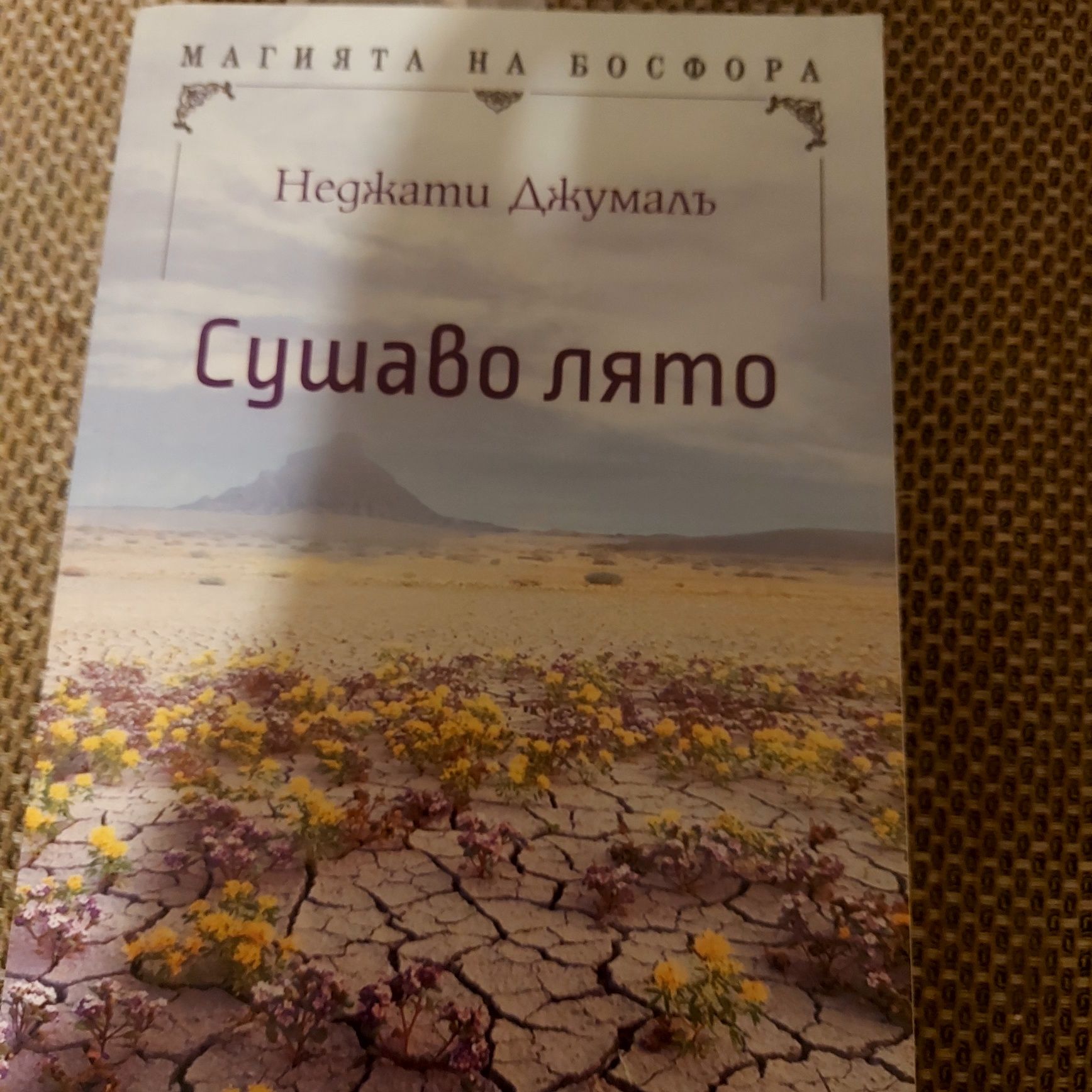 Книги художествена литература