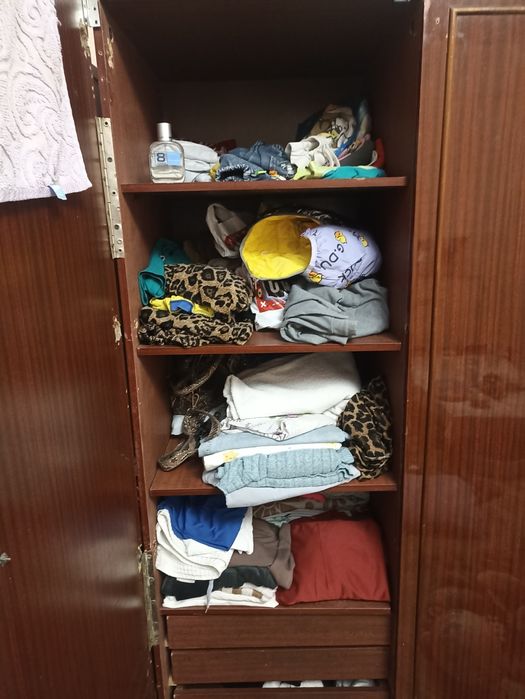 Shfaner шифанер для одежды