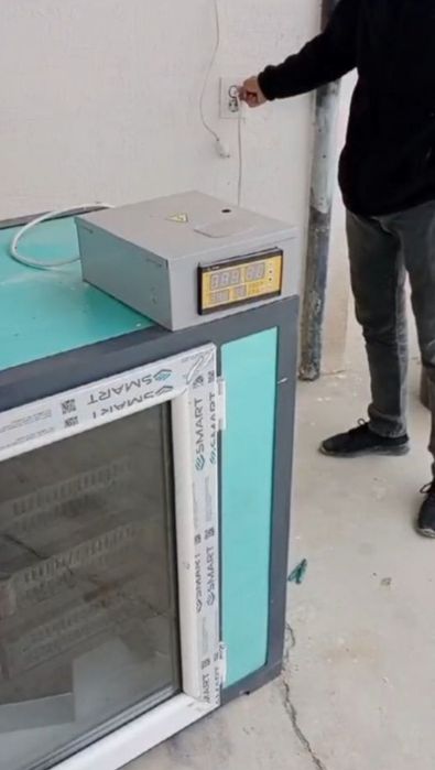 Инкубатор для яиц