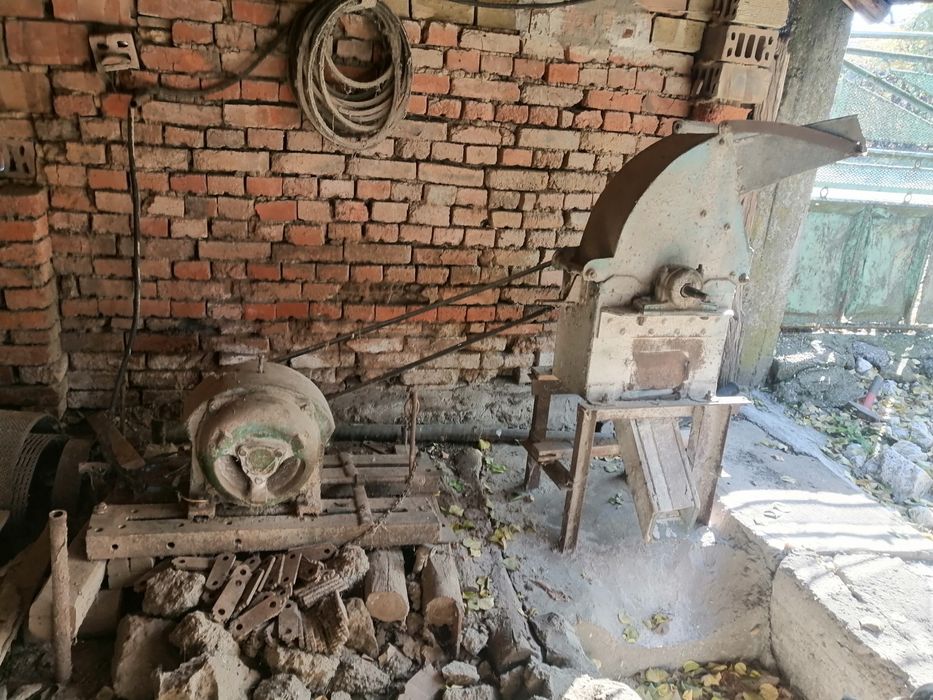 Голяма фуражомелка