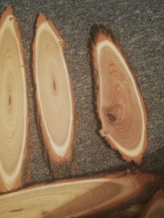 Елипсовидни шайби