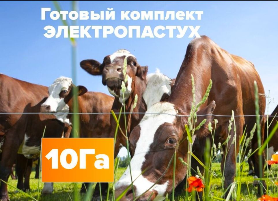 Электропастух Электроизгородь КРС Телят Лошадей овца